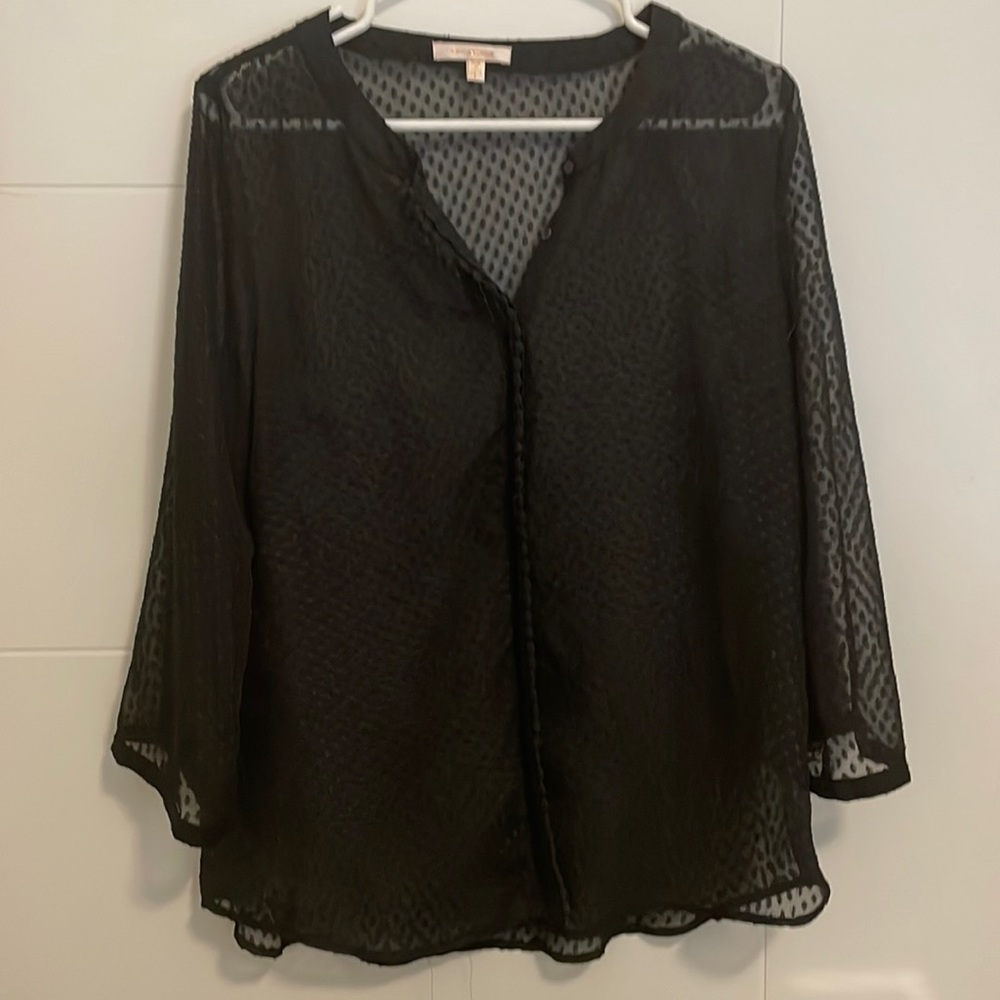 Skies Are Blue Sheer Blouse